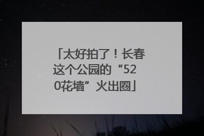 太好拍了！长春这个公园的“520花墙”火出圈