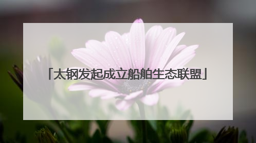 太钢发起成立船舶生态联盟