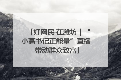 好网民·在潍坊｜“小高书记正能量”直播 带动群众致富