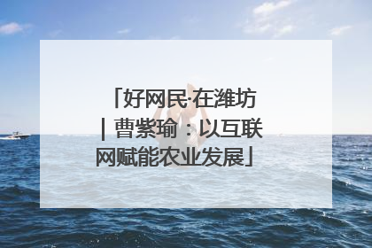 好网民·在潍坊｜曹紫瑜：以互联网赋能农业发展
