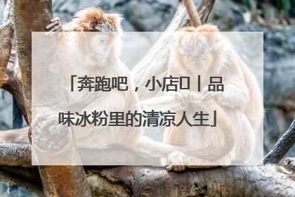 奔跑吧，小店㊴丨品味冰粉里的清凉人生