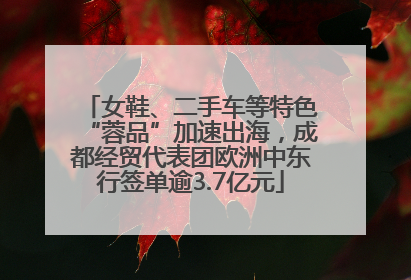 女鞋、二手车等特色“蓉品”加速出海，成都经贸代表团欧洲中东行签单逾3.7亿元