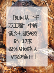 如何从“千万工程”中解锁乡村振兴密码  17家媒体及网络大V探访蓝田