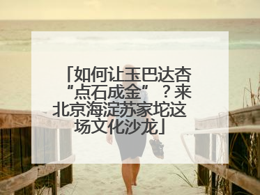 如何让玉巴达杏“点石成金”？来北京海淀苏家坨这场文化沙龙