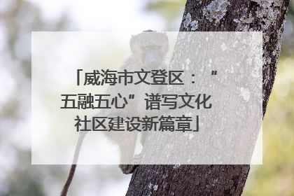 威海市文登区：“五融五心”谱写文化社区建设新篇章