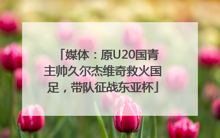 媒体：原U20国青主帅久尔杰维奇救火国足，带队征战东亚杯