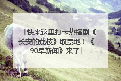 快来这里打卡热播剧《长安的荔枝》取景地！《90早新闻》来了