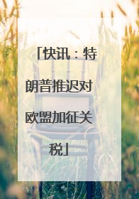 快讯：特朗普推迟对欧盟加征关税