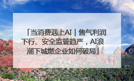 当消费遇上AI｜售气利润下行、安全监管趋严，AI浪潮下城燃企业如何破局
