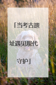 当考古遗址遇见现代守护