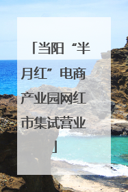 当阳“半月红”电商产业园网红市集试营业