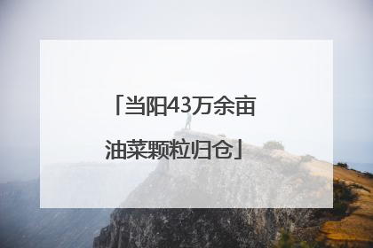 当阳43万余亩油菜颗粒归仓