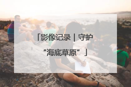 影像记录｜守护“海底草原”