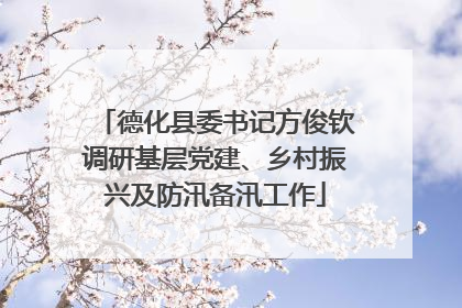 德化县委书记方俊钦调研基层党建、乡村振兴及防汛备汛工作