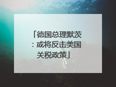 德国总理默茨：或将反击美国关税政策