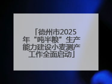 德州市2025年“吨半粮”生产能力建设小麦测产工作全面启动
