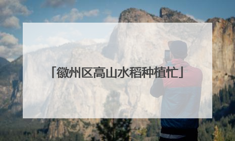 徽州区高山水稻种植忙