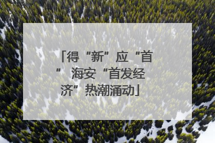 得“新”应“首” 海安“首发经济”热潮涌动