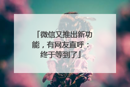 微信又推出新功能，有网友直呼：终于等到了