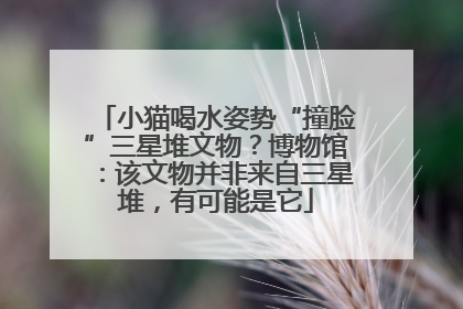 小猫喝水姿势“撞脸”三星堆文物？博物馆：该文物并非来自三星堆，有可能是它