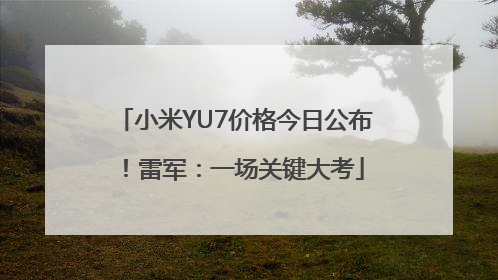 小米YU7价格今日公布！雷军：一场关键大考