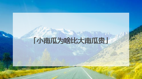 小南瓜为啥比大南瓜贵