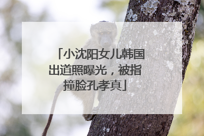 小沈阳女儿韩国出道照曝光，被指撞脸孔孝真