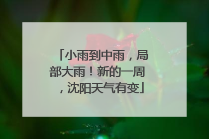 小雨到中雨，局部大雨！新的一周，沈阳天气有变