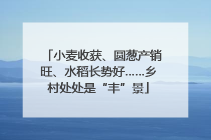 小麦收获、圆葱产销旺、水稻长势好……乡村处处是“丰”景