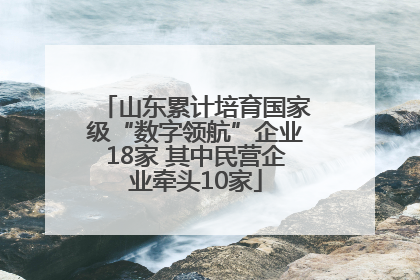 山东累计培育国家级“数字领航”企业18家 其中民营企业牵头10家
