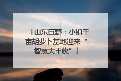 山东巨野：小镇千亩胡萝卜基地迎来“智慧大丰收”