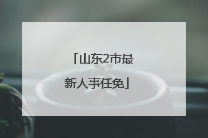 山东2市最新人事任免