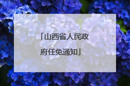 山西省人民政府任免通知