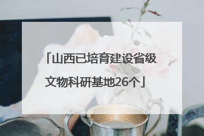 山西已培育建设省级文物科研基地26个
