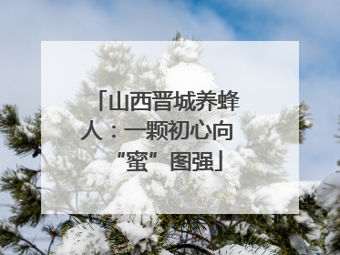 山西晋城养蜂人：一颗初心向“蜜”图强