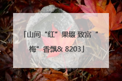 山间“红”果缀 致富“梅”香飘& 8203