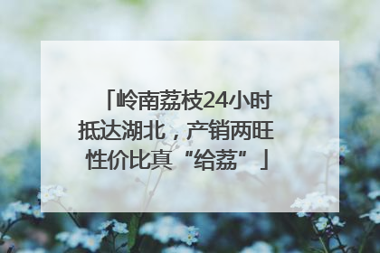 岭南荔枝24小时抵达湖北，产销两旺性价比真“给荔”