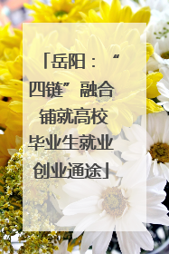 岳阳：“四链”融合 铺就高校毕业生就业创业通途