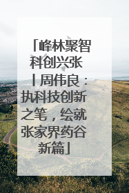 峰林聚智 科创兴张丨周伟良：执科技创新之笔，绘就张家界药谷新篇