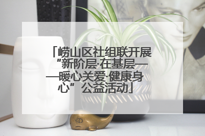 崂山区社组联开展“新阶层·在基层——暖心关爱·健康身心”公益活动