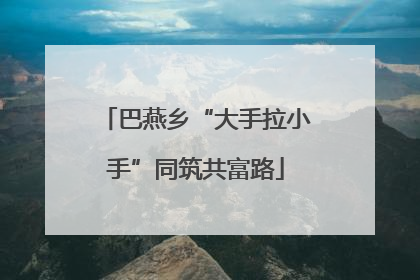 巴燕乡“大手拉小手”同筑共富路