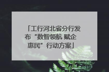 工行河北省分行发布“数智领航 赋企惠民”行动方案