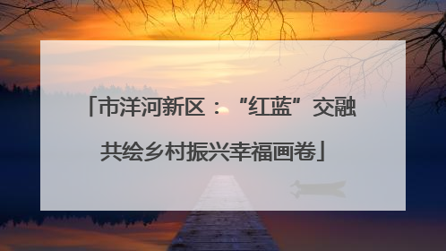 市洋河新区：“红蓝”交融 共绘乡村振兴幸福画卷