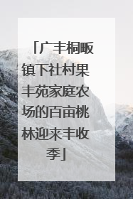 广丰桐畈镇下社村果丰苑家庭农场的百亩桃林迎来丰收季