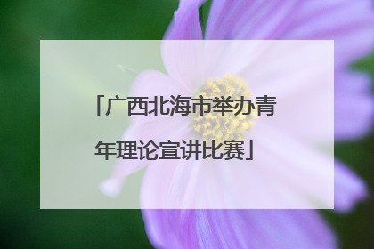 广西北海市举办青年理论宣讲比赛