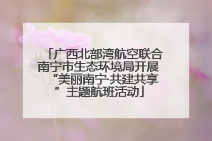 广西北部湾航空联合南宁市生态环境局开展“美丽南宁·共建共享”主题航班活动