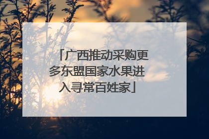 广西推动采购更多东盟国家水果进入寻常百姓家
