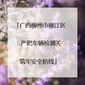 广西柳州市柳江区：严把车辆检测关 筑牢安全防线