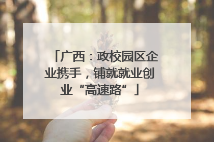 广西：政校园区企业携手，铺就就业创业“高速路”