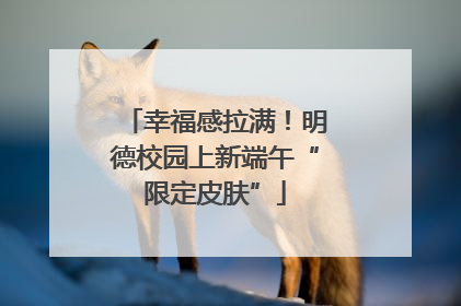 幸福感拉满！明德校园上新端午“限定皮肤”